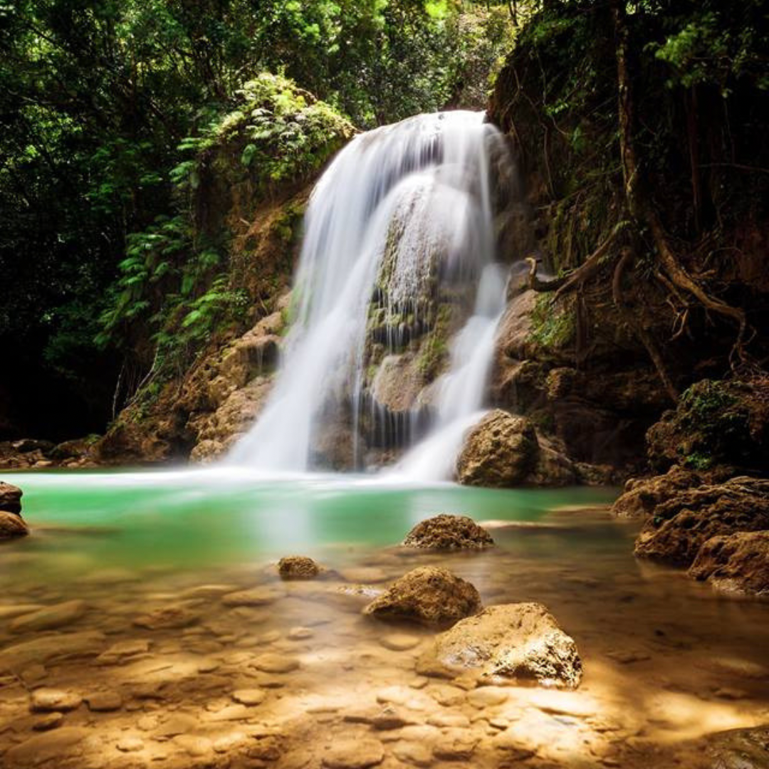 57BF2D1B-3008-4816-87B7-5C67BC32DAEB